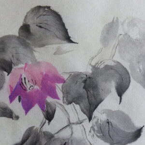 Botanical sketch, ink and watercolour on Japanese paper