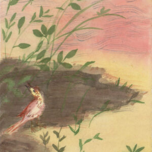 from the series of watercolour sketches3