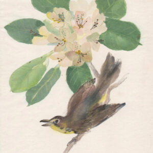 watercolour on Japanese calligraphy paper